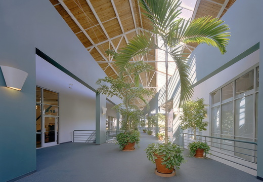 Building Interiors